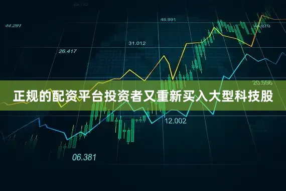 正规的配资平台投资者又重新买入大型科技股