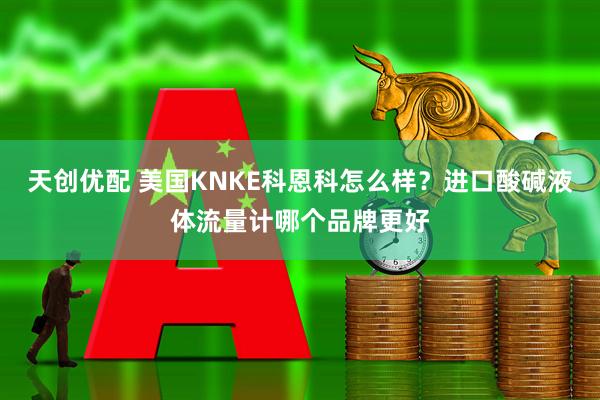 天创优配 美国KNKE科恩科怎么样？进口酸碱液体流量计哪个品牌更好