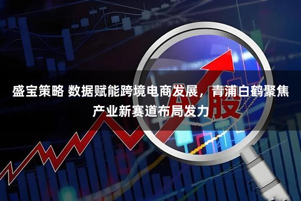 盛宝策略 数据赋能跨境电商发展，青浦白鹤聚焦产业新赛道布局发力